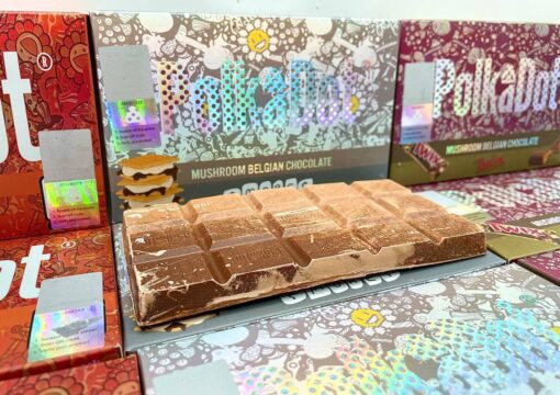 Polkadot Mushroom Chocolate Bars